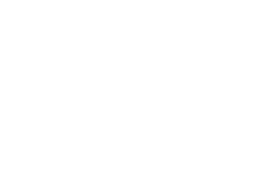 LAG-icono-white-small